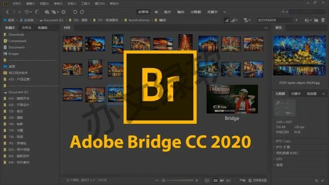 Adobe Bridge BR2021 永久免费 特别版-办文绿软