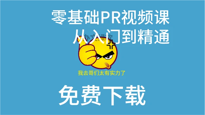 零基础全套PR剪辑教程全集 轻松掌握Adobe Premiere Pro-办文绿软