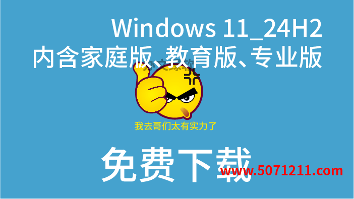 Windows Win11_24H2_Chinese_Simplified_x64 内含家庭版/单语言、教育版、专业版-办文绿软